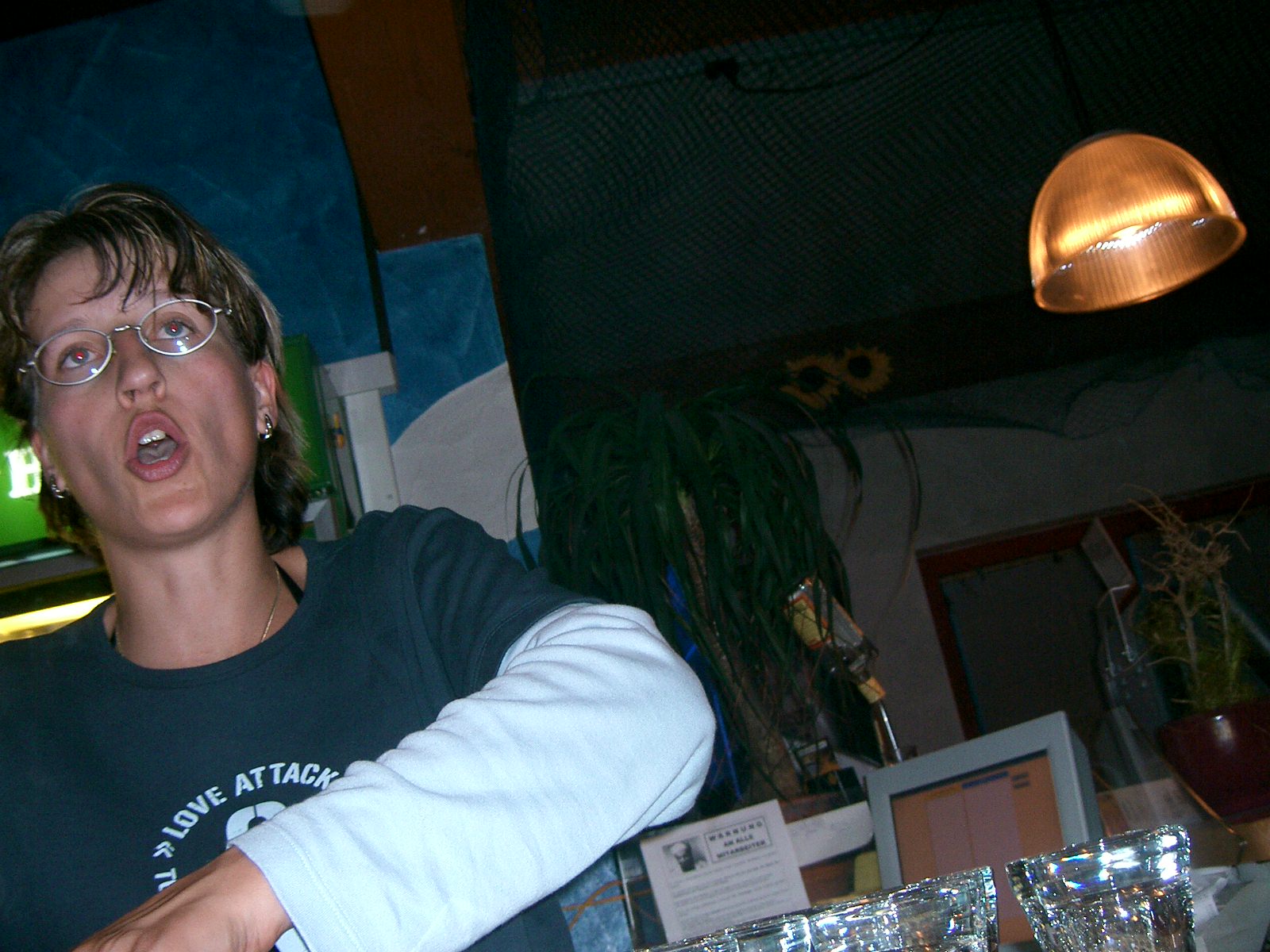 Galeriebild